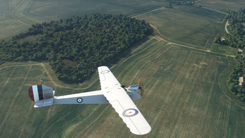 Rara-Avis Sims English Electric Wren for MSFS-2020