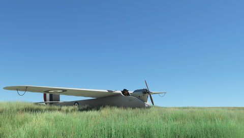 Rara-Avis Sims English Electric Wren for MSFS-2020