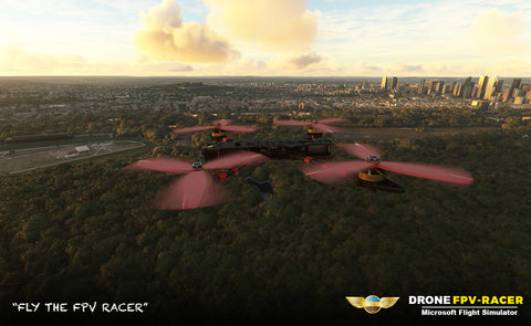 Pilot Experience Sim Drone FPV for MSFS-2020