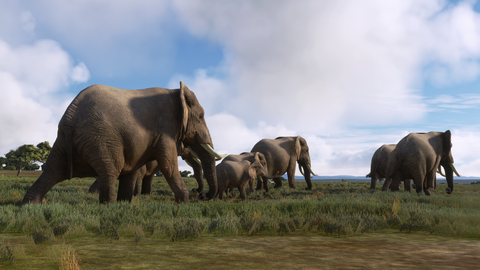iniBuilds Maasai Mara Safari Pack for MSFS-2020