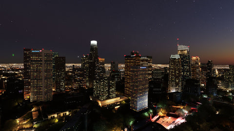 SamScene3D Los Angeles Modern City for MSFS