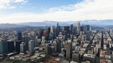 SamScene3D Los Angeles Modern City for MSFS
