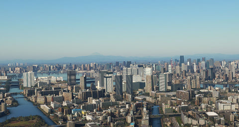 SamScene3D Tokyo City Times for MSFS