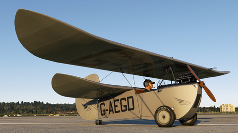Rara-Avis Sims Flying Flea for MSFS-2020