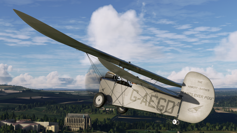 Rara-Avis Sims Flying Flea for MSFS-2020