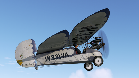 Rara-Avis Sims Flying Flea for MSFS-2020