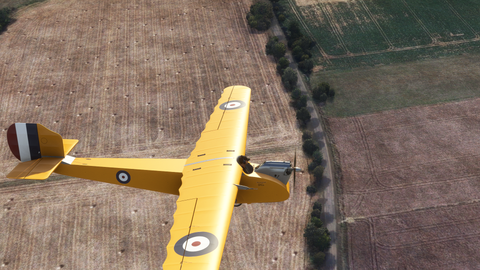 Rara-Avis Sims English Electric Wren for MSFS-2024