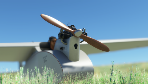 Rara-Avis Sims English Electric Wren for MSFS-2024