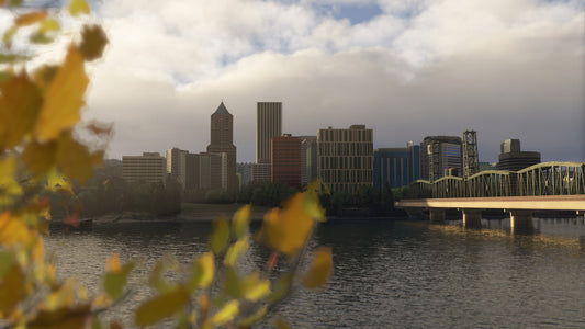 Dfflyer Direct Portland Oregon City & Bridges Pack for MSFS