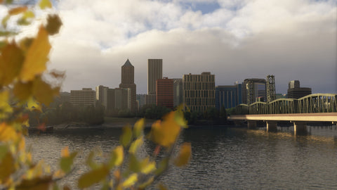 Dfflyer Direct Portland Oregon City & Bridges Pack for MSFS