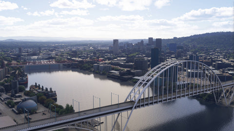 Dfflyer Direct Portland Oregon City & Bridges Pack for MSFS