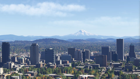 Dfflyer Direct Portland Oregon City & Bridges Pack for MSFS