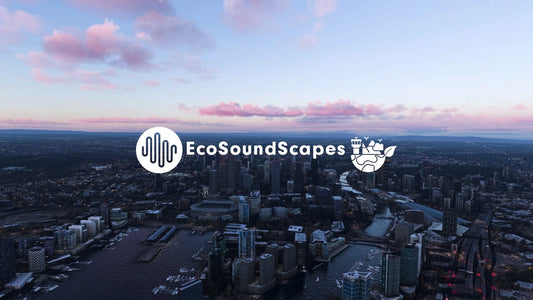 SoFly EcoSoundScapes for MSFS