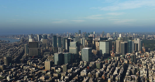 SamScene3D Tokyo City Times for MSFS